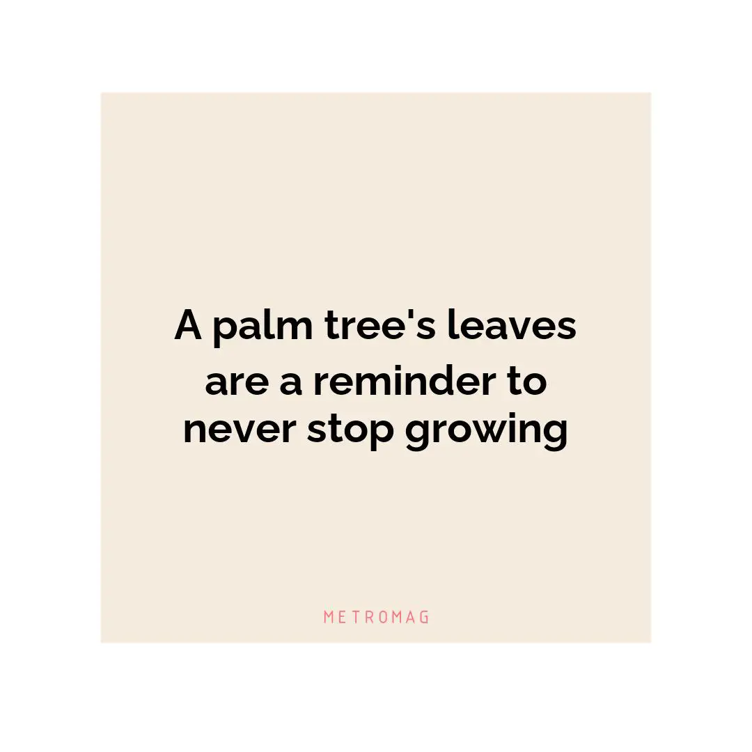 A palm tree's leaves are a reminder to never stop growing