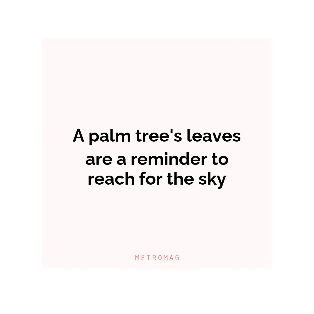A palm tree's leaves are a reminder to reach for the sky
