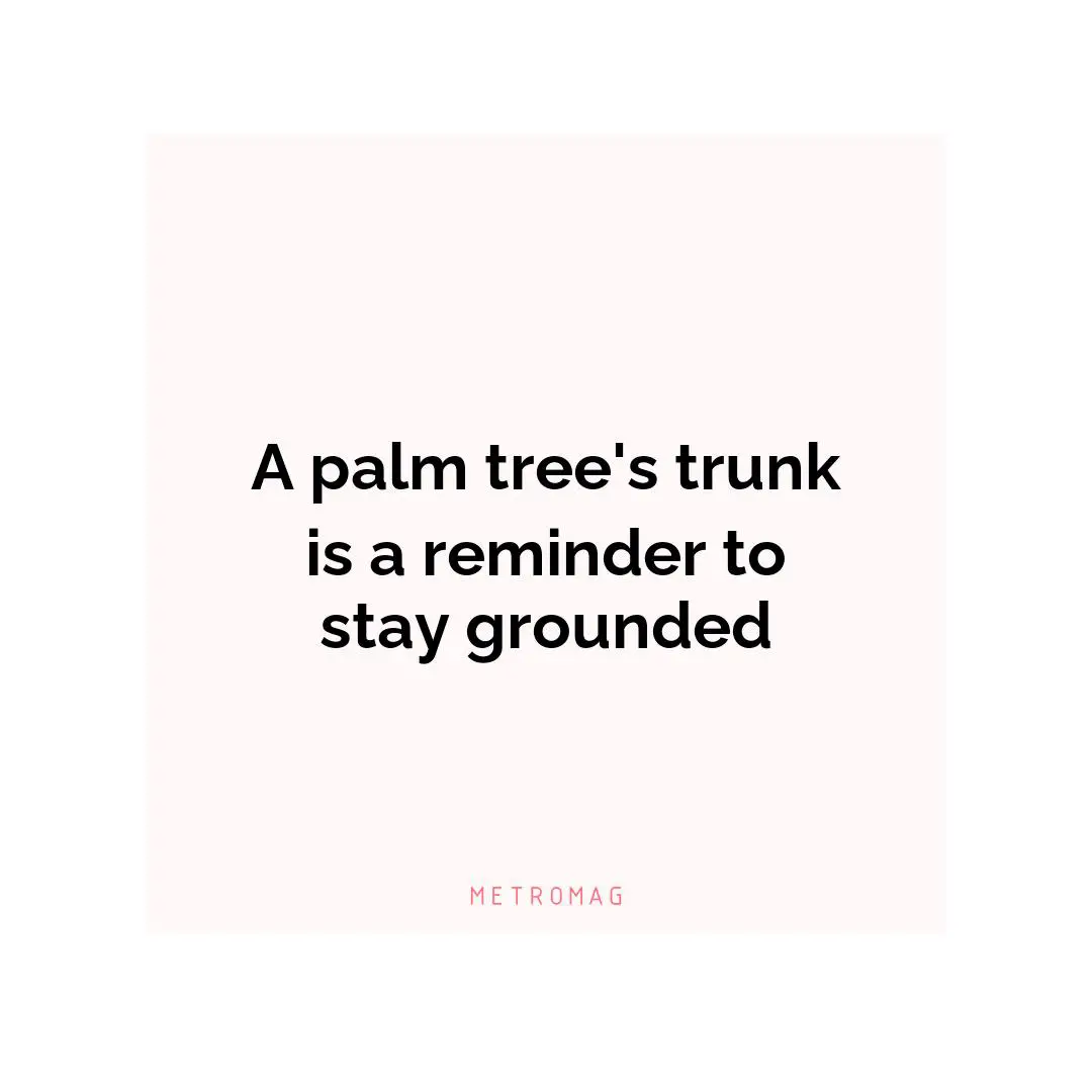 A palm tree's trunk is a reminder to stay grounded