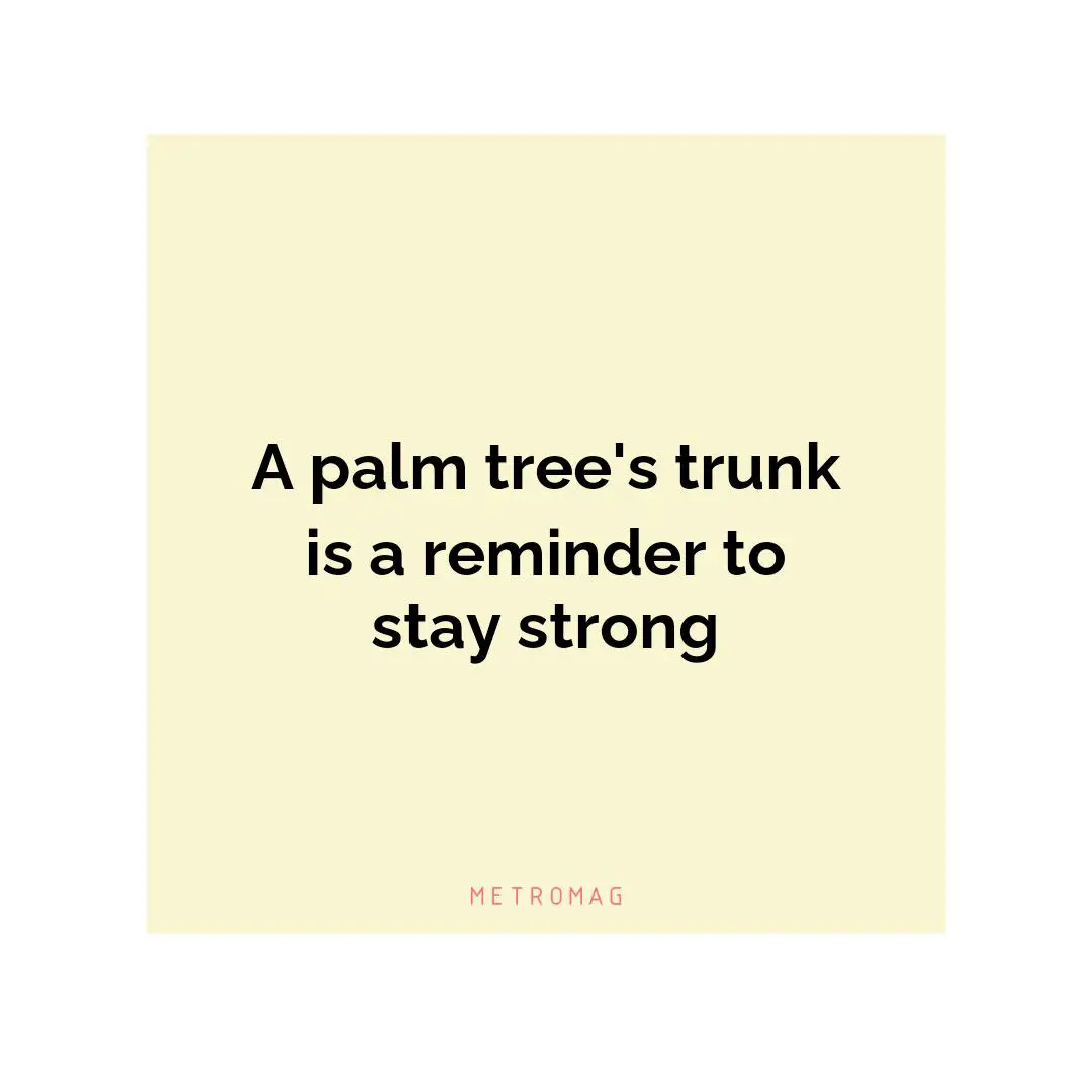 A palm tree's trunk is a reminder to stay strong