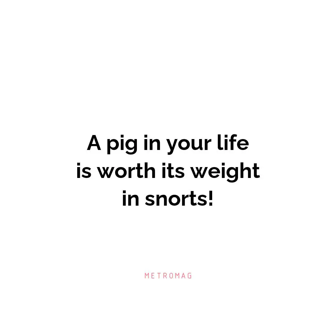 A pig in your life is worth its weight in snorts!