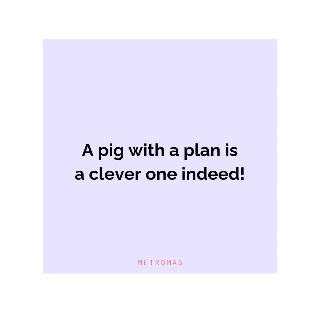 A pig with a plan is a clever one indeed!