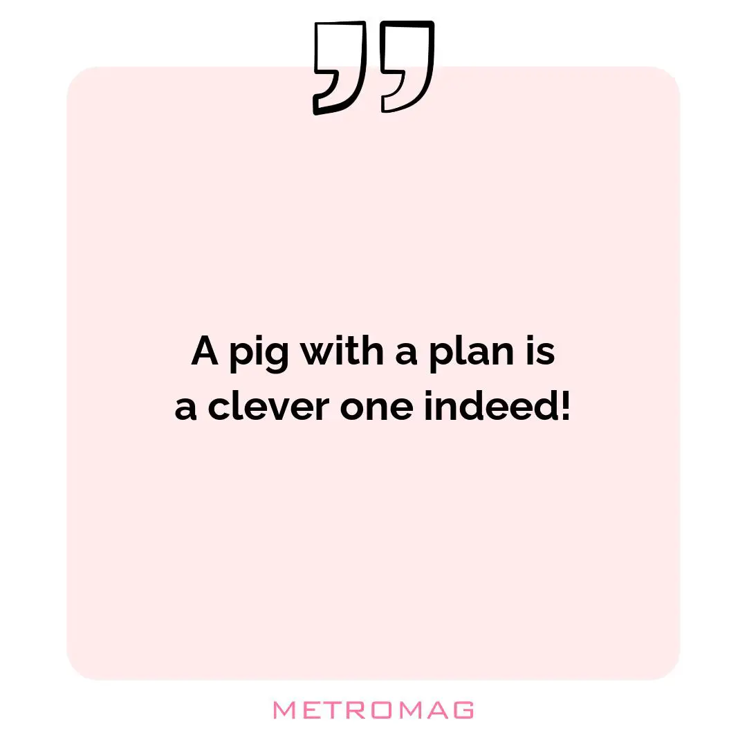A pig with a plan is a clever one indeed!