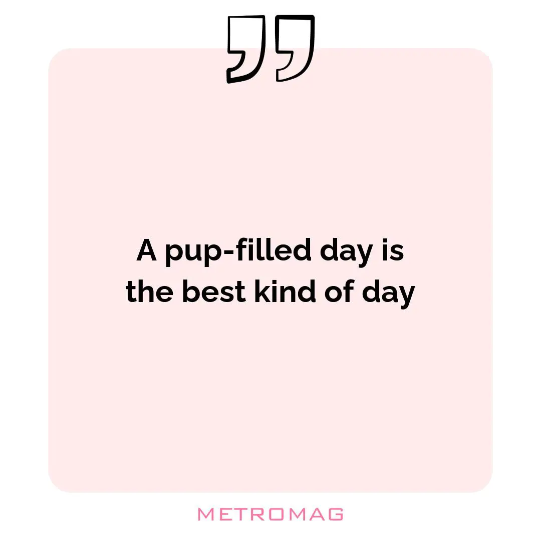 A pup-filled day is the best kind of day