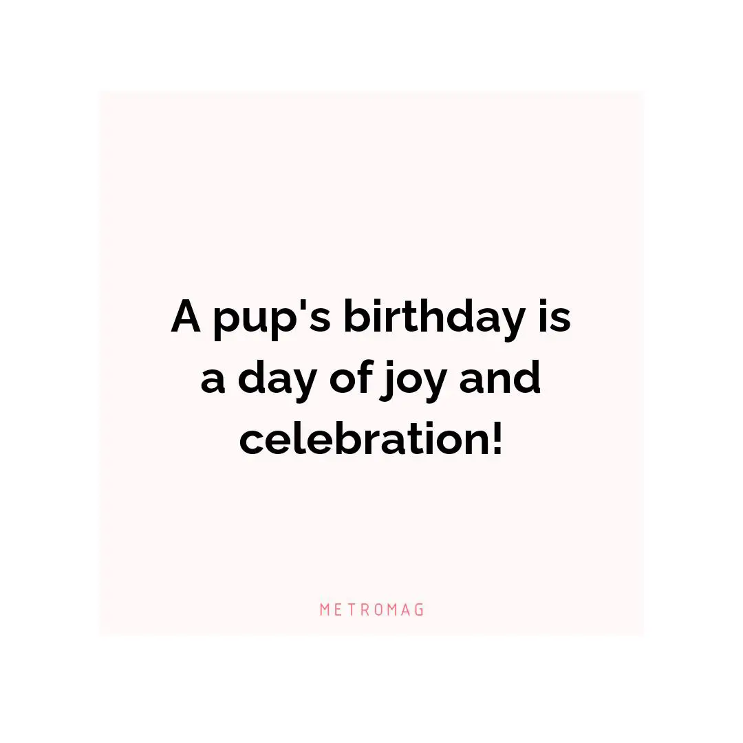 A pup's birthday is a day of joy and celebration!