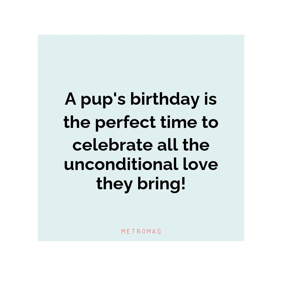 A pup's birthday is the perfect time to celebrate all the unconditional love they bring!