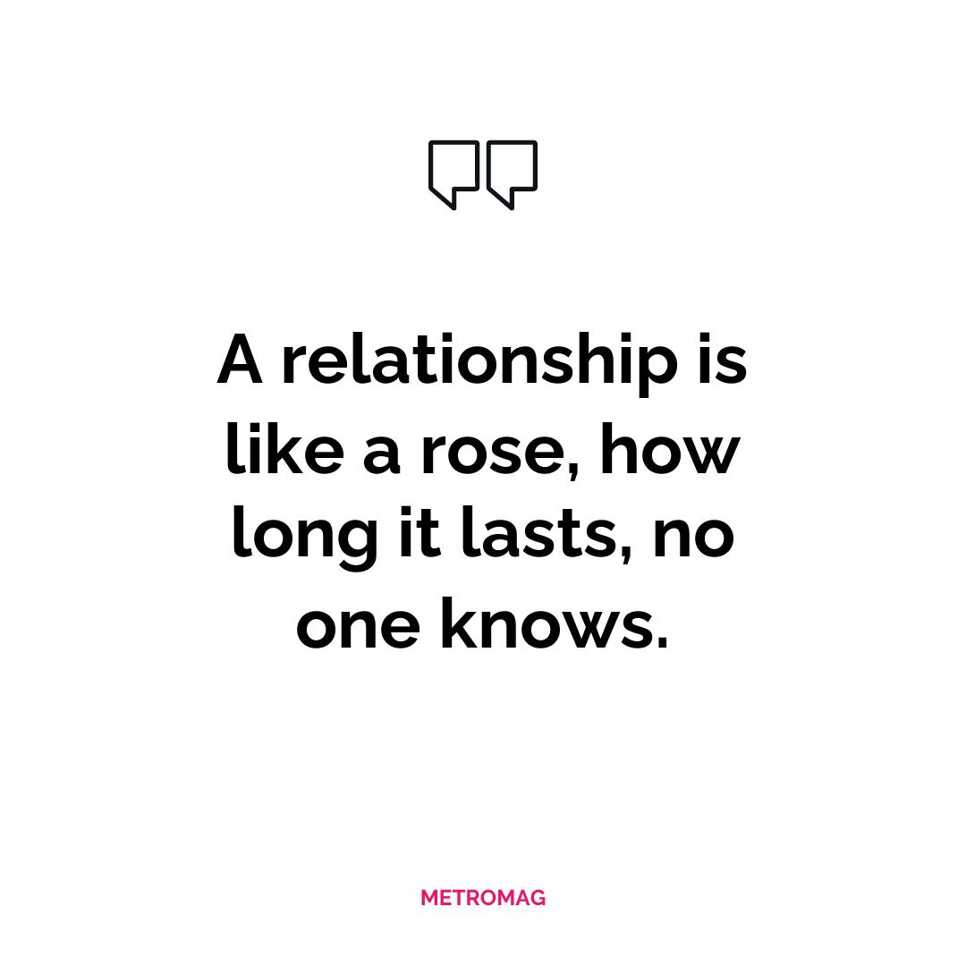 A relationship is like a rose, how long it lasts, no one knows.