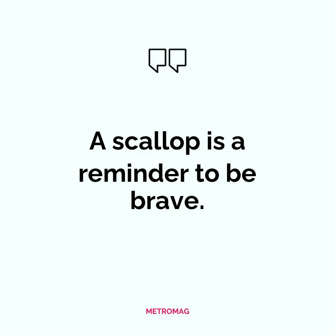 A scallop is a reminder to be brave.