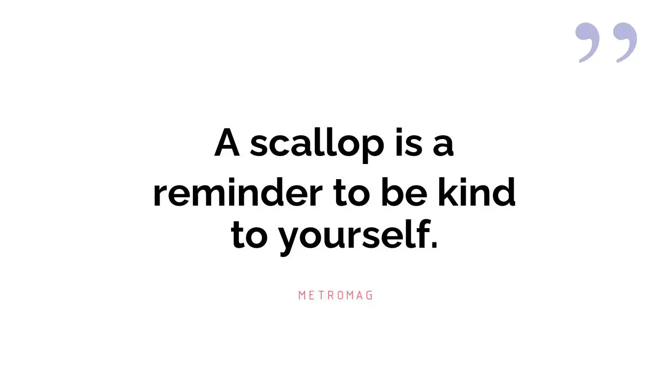 A scallop is a reminder to be kind to yourself.