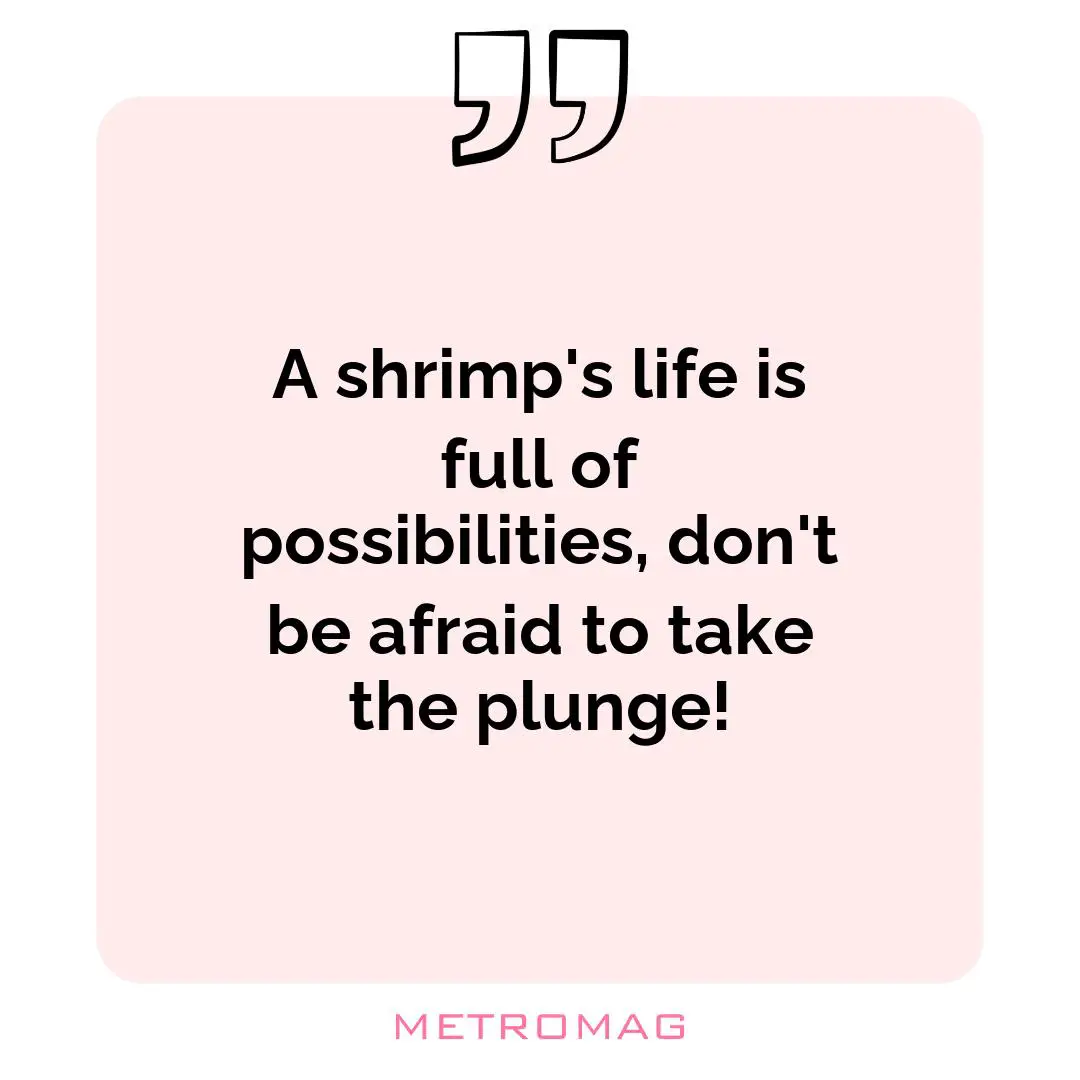 A shrimp's life is full of possibilities, don't be afraid to take the plunge!