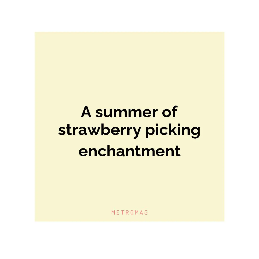 A summer of strawberry picking enchantment