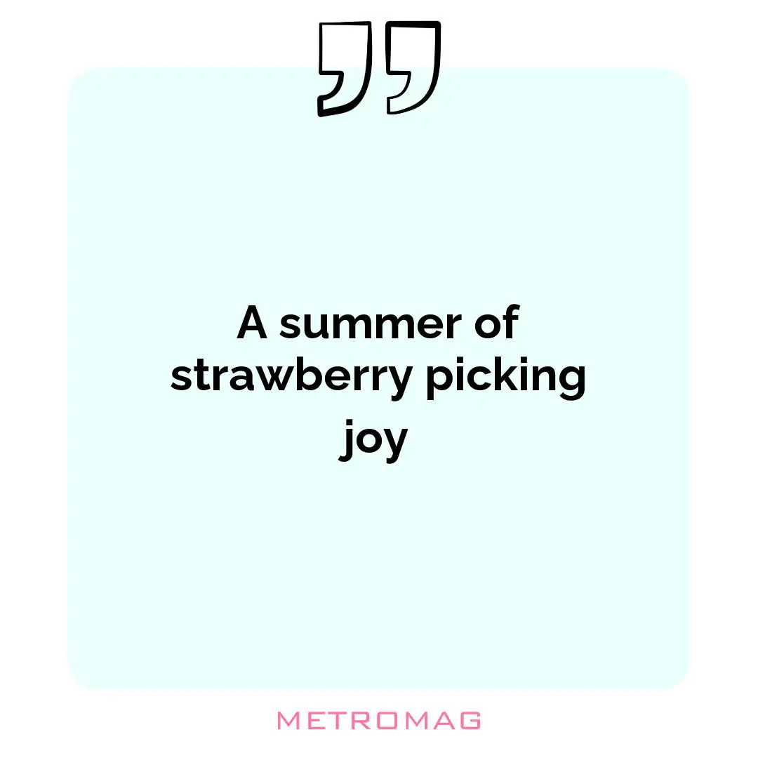 A summer of strawberry picking joy