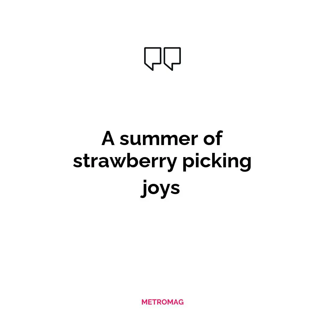 A summer of strawberry picking joys