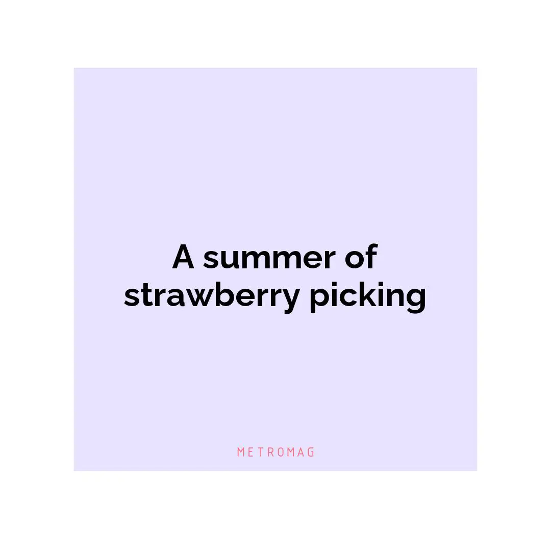 A summer of strawberry picking