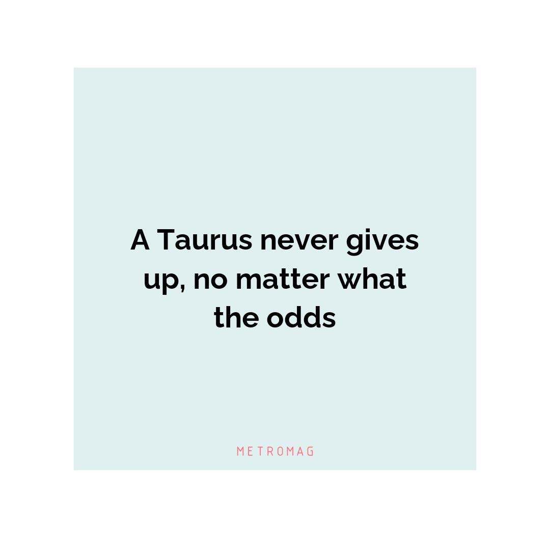 A Taurus never gives up, no matter what the odds