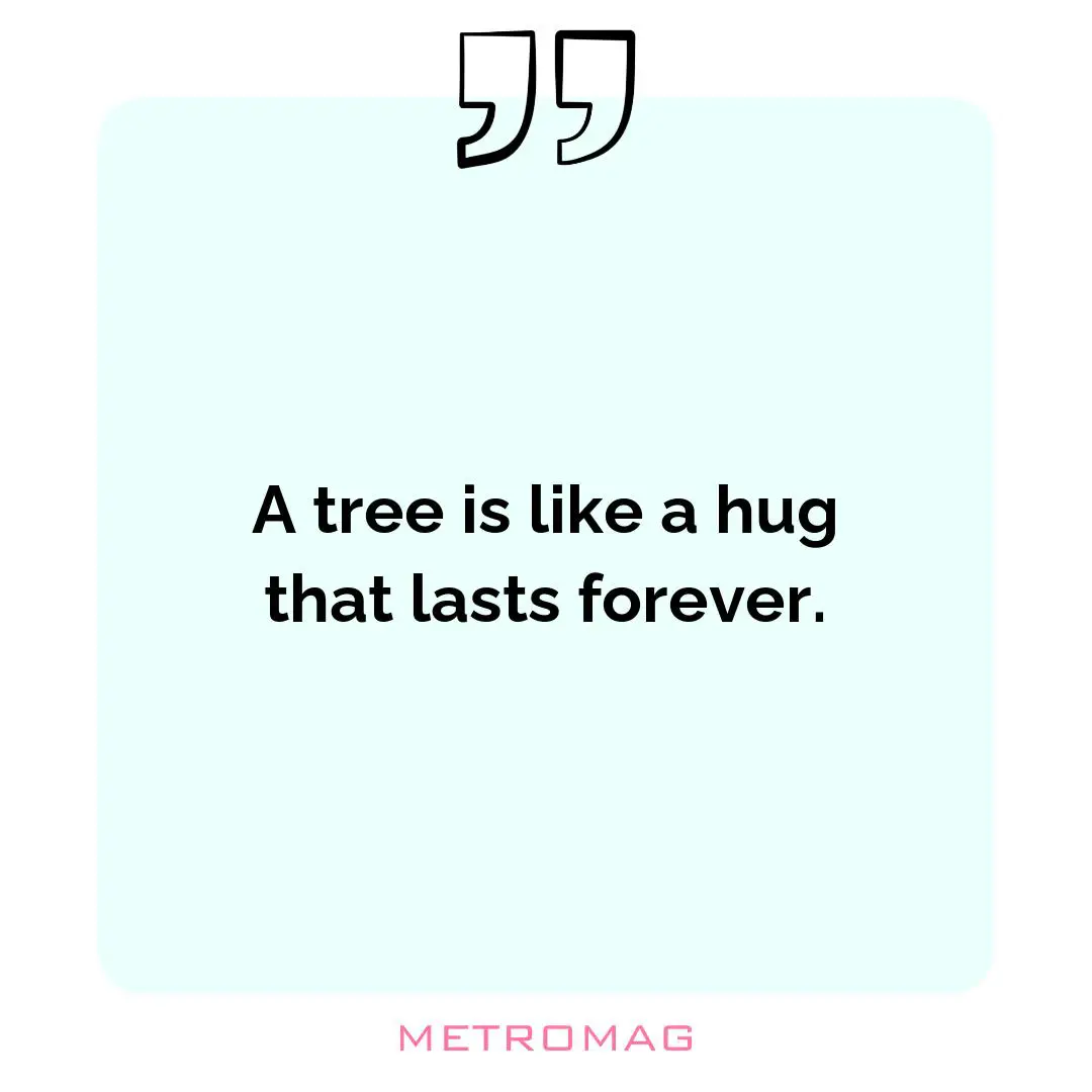 A tree is like a hug that lasts forever.