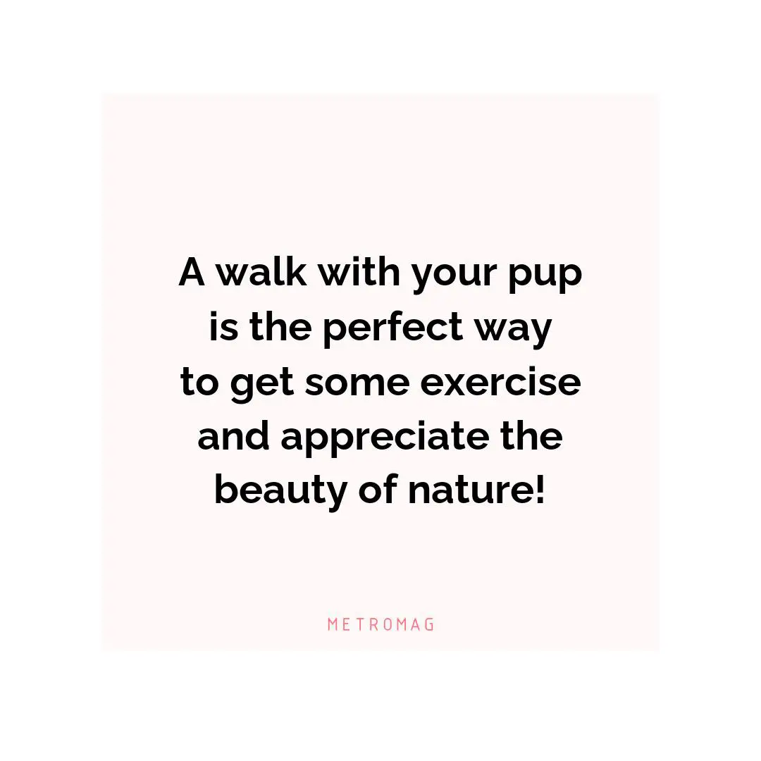 A walk with your pup is the perfect way to get some exercise and appreciate the beauty of nature!
