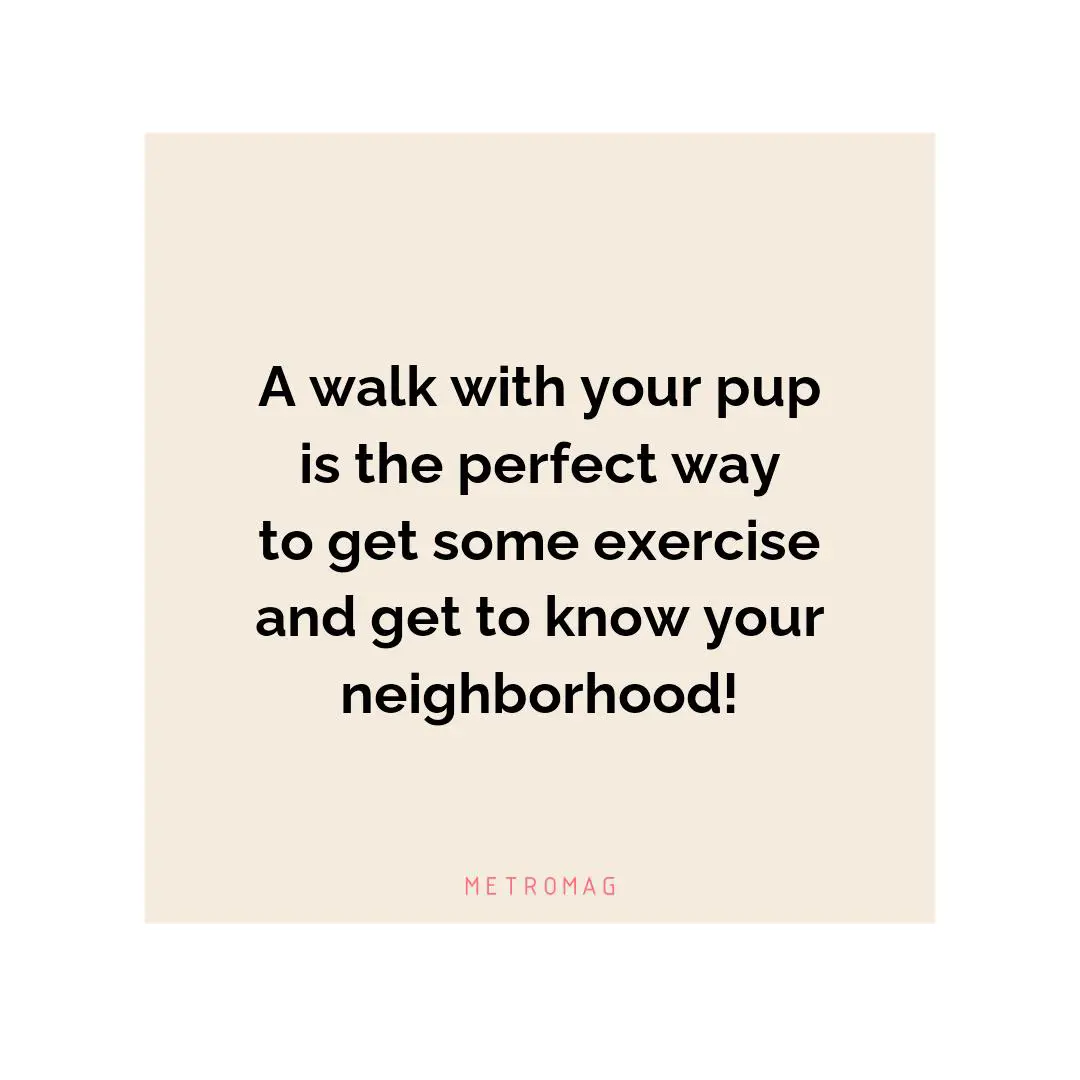 A walk with your pup is the perfect way to get some exercise and get to know your neighborhood!