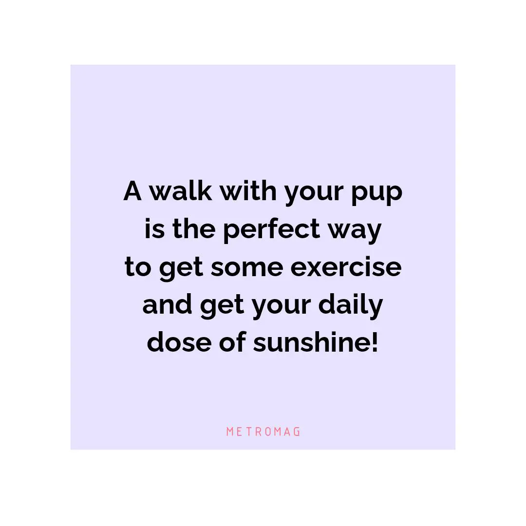 A walk with your pup is the perfect way to get some exercise and get your daily dose of sunshine!