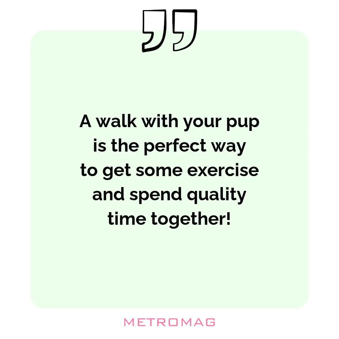A walk with your pup is the perfect way to get some exercise and spend quality time together!