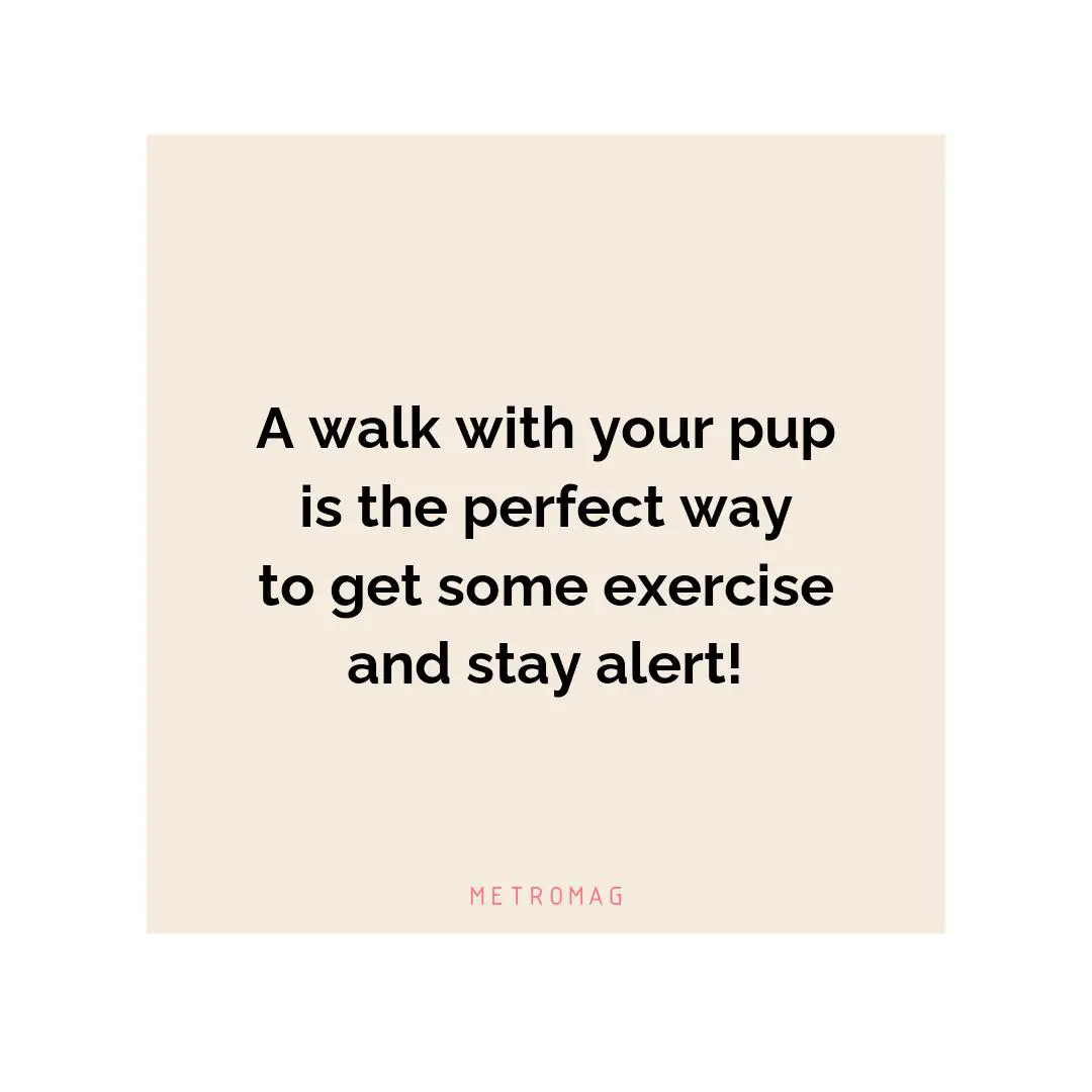 A walk with your pup is the perfect way to get some exercise and stay alert!
