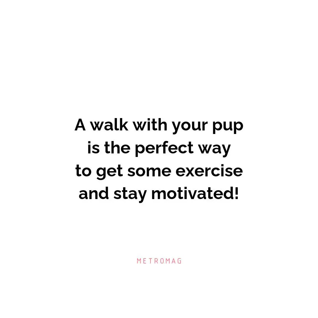 A walk with your pup is the perfect way to get some exercise and stay motivated!