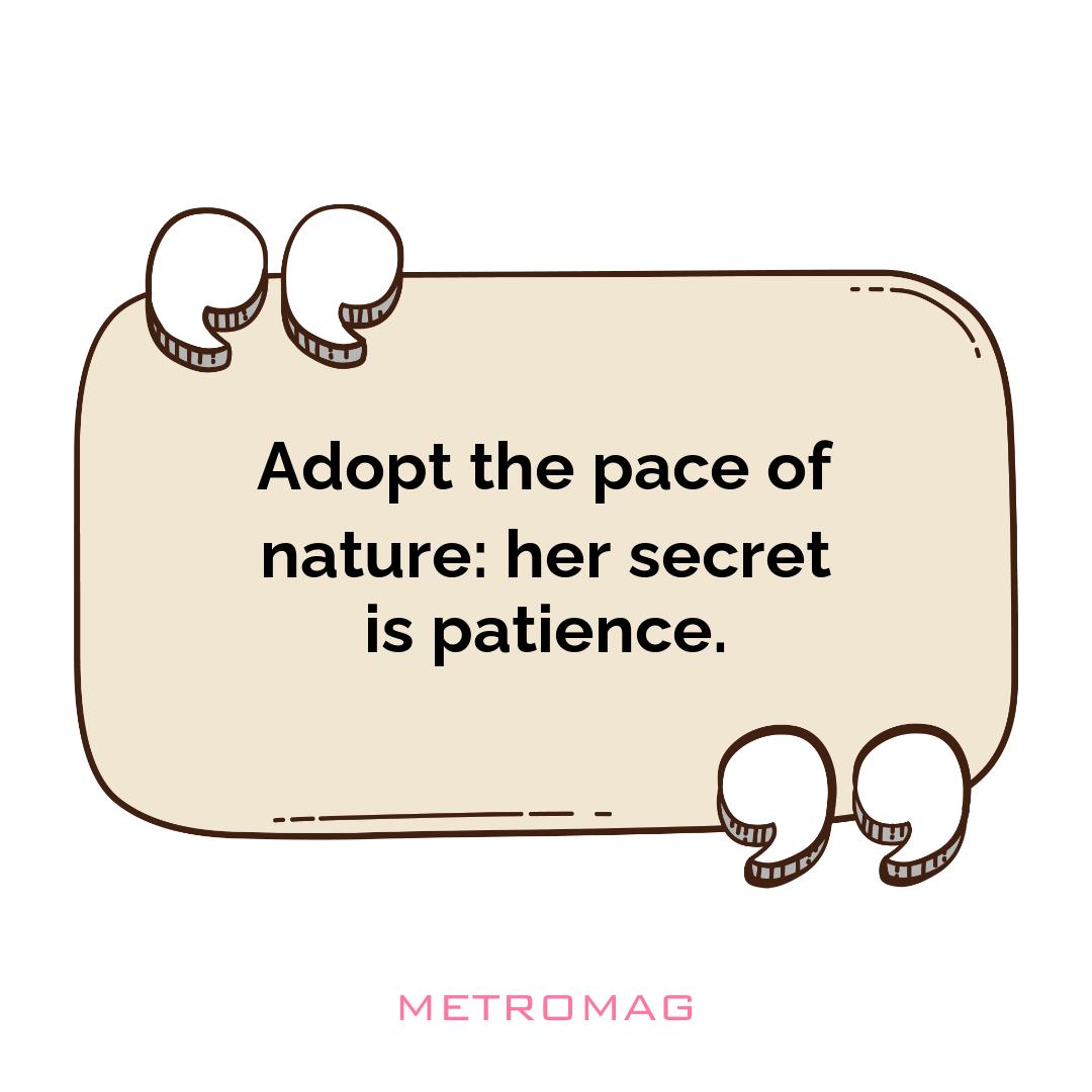 Adopt the pace of nature: her secret is patience.