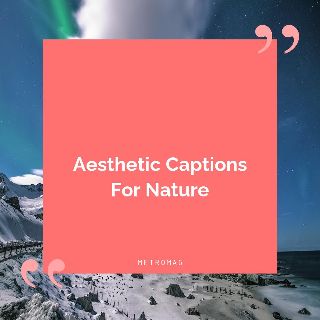 Aesthetic Captions For Nature