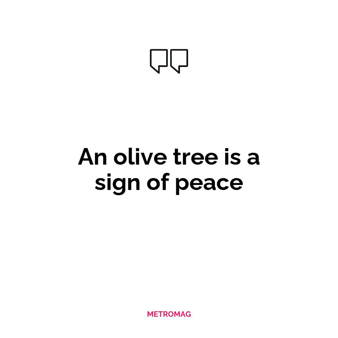 An olive tree is a sign of peace