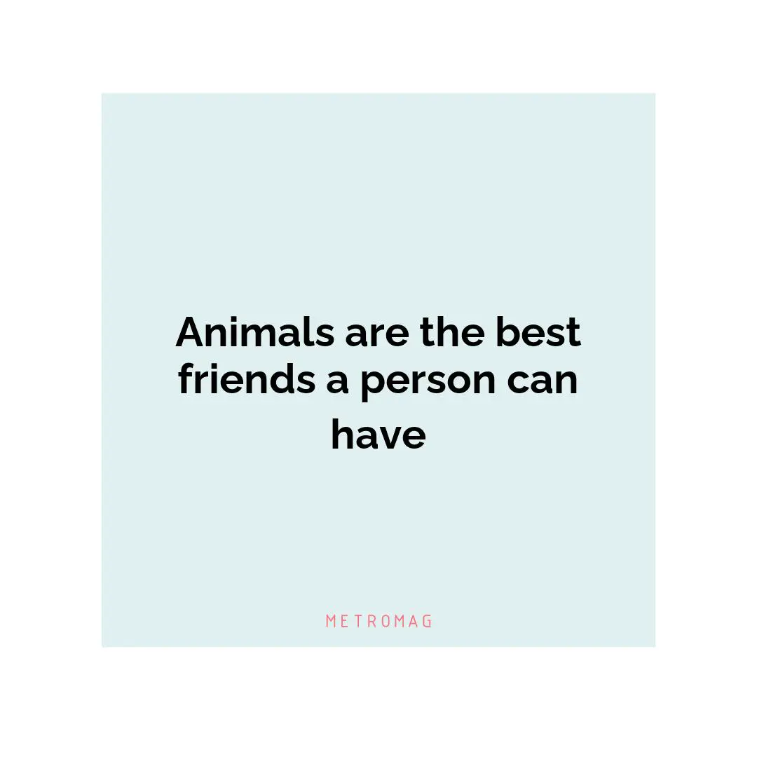 Animals are the best friends a person can have