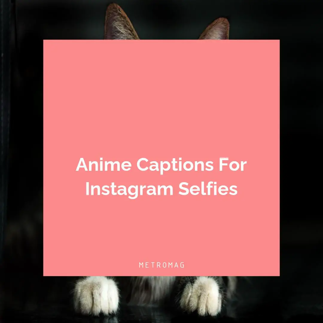 Anime Captions For Instagram Selfies