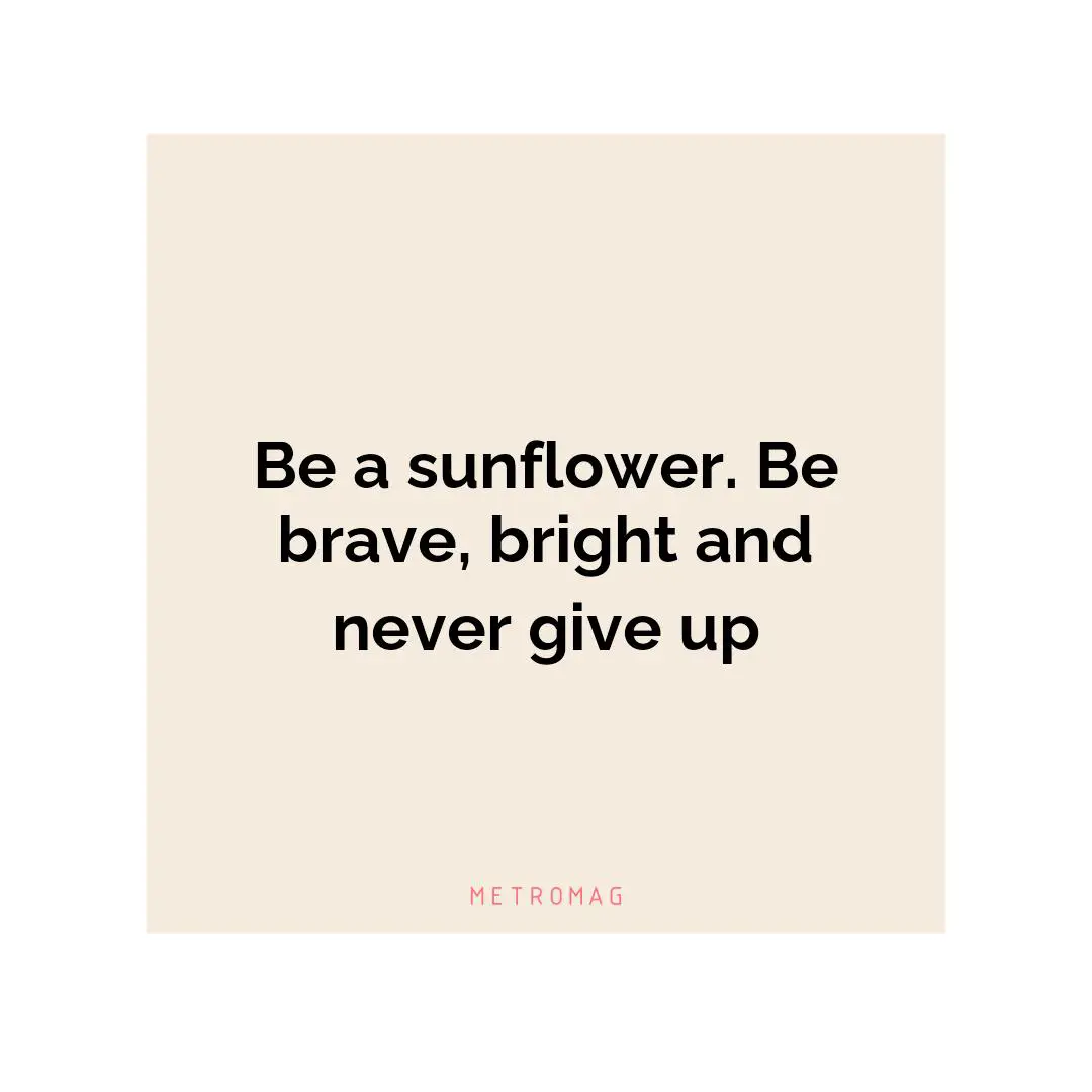 Be a sunflower. Be brave, bright and never give up