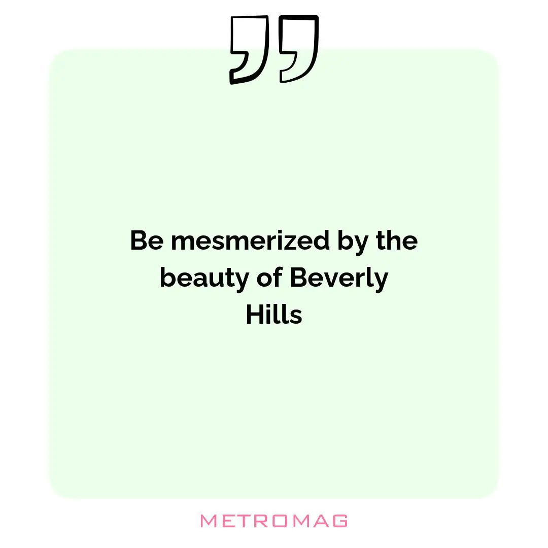 Be mesmerized by the beauty of Beverly Hills