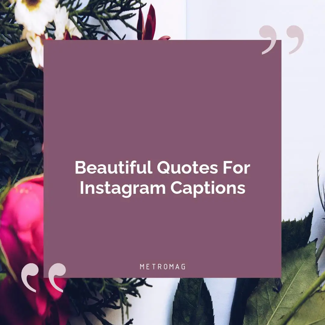 Beautiful Quotes For Instagram Captions