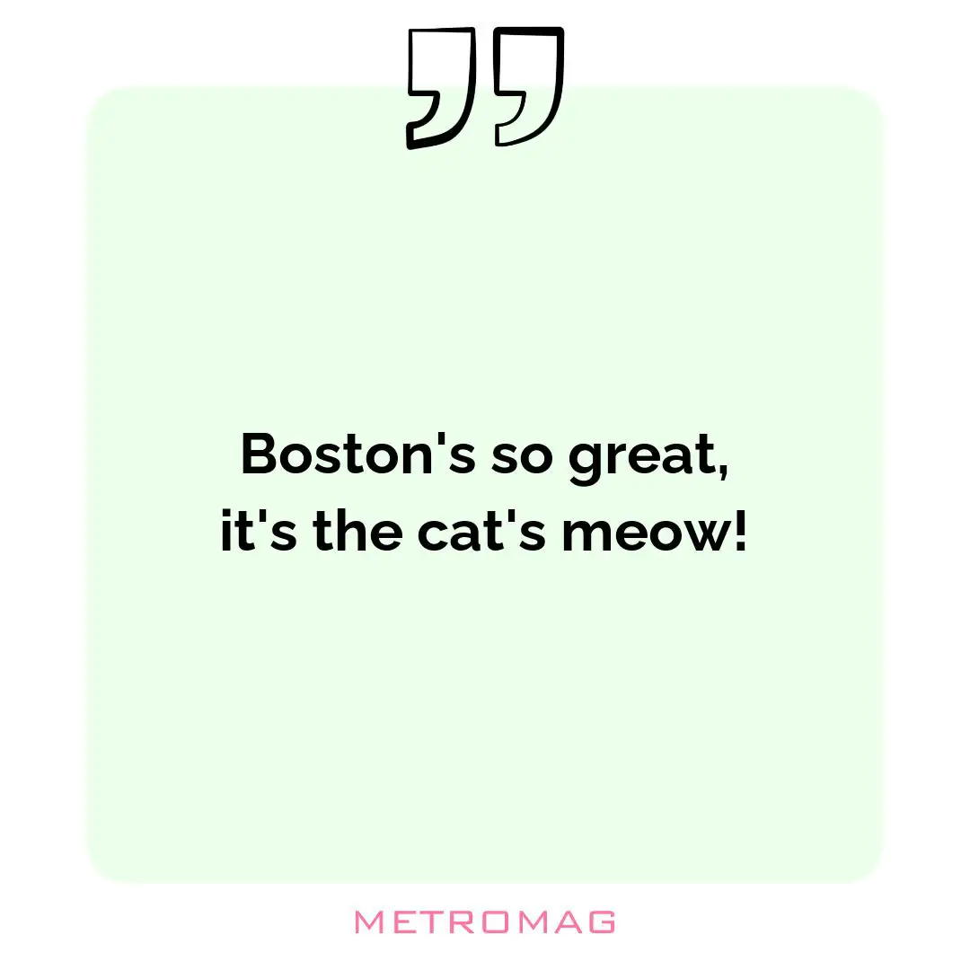 Boston's so great, it's the cat's meow!