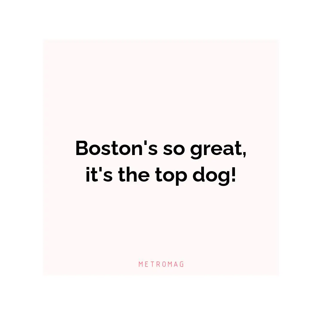 Boston's so great, it's the top dog!