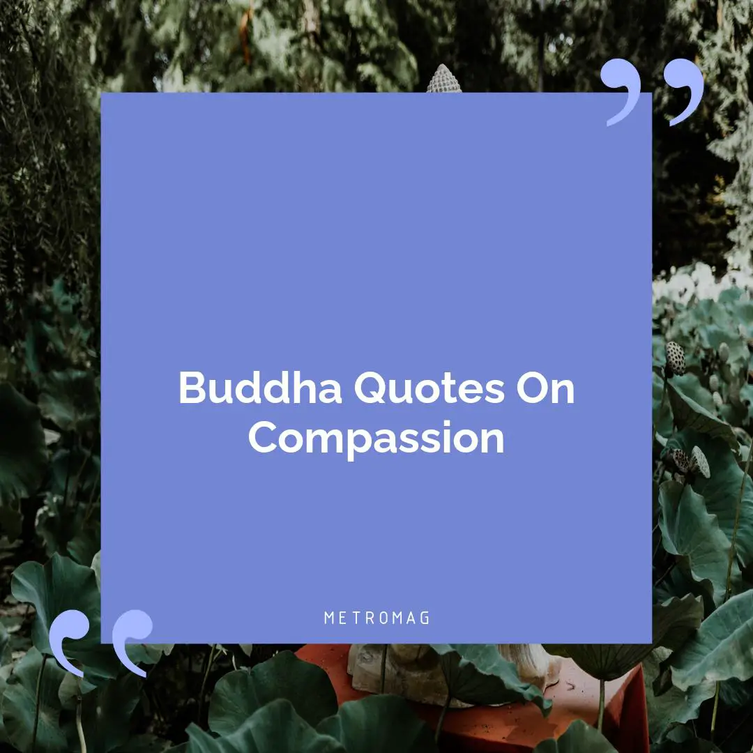 Buddha Quotes On Compassion