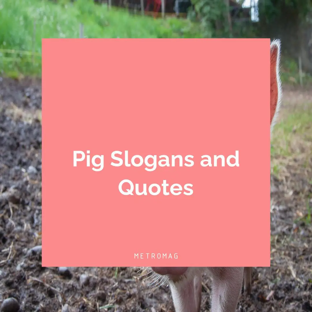 Pig Slogans and Quotes