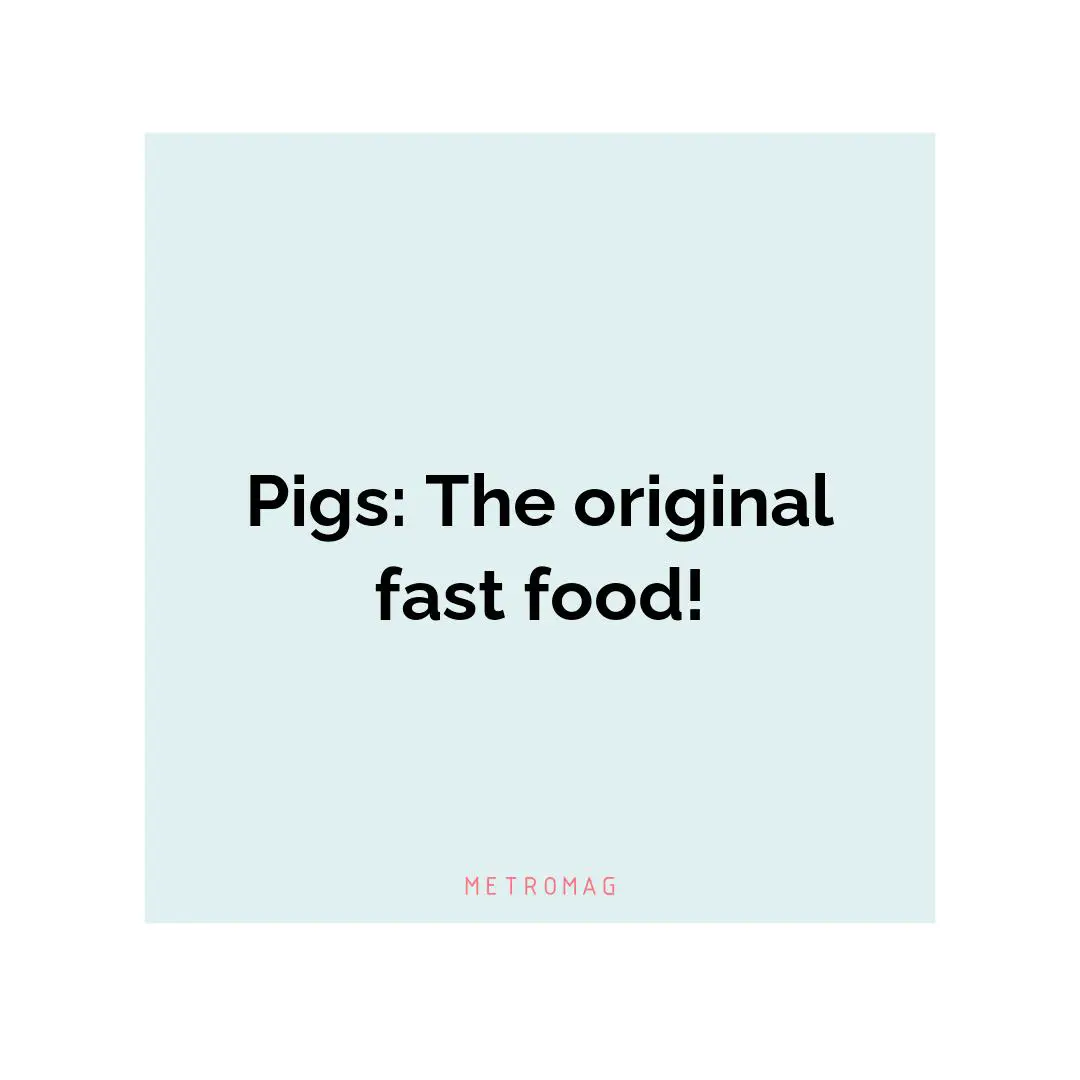 Pigs: The original fast food!