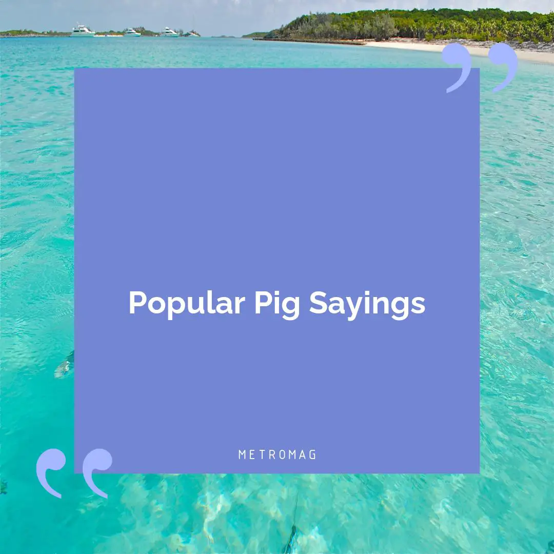 Popular Pig Sayings