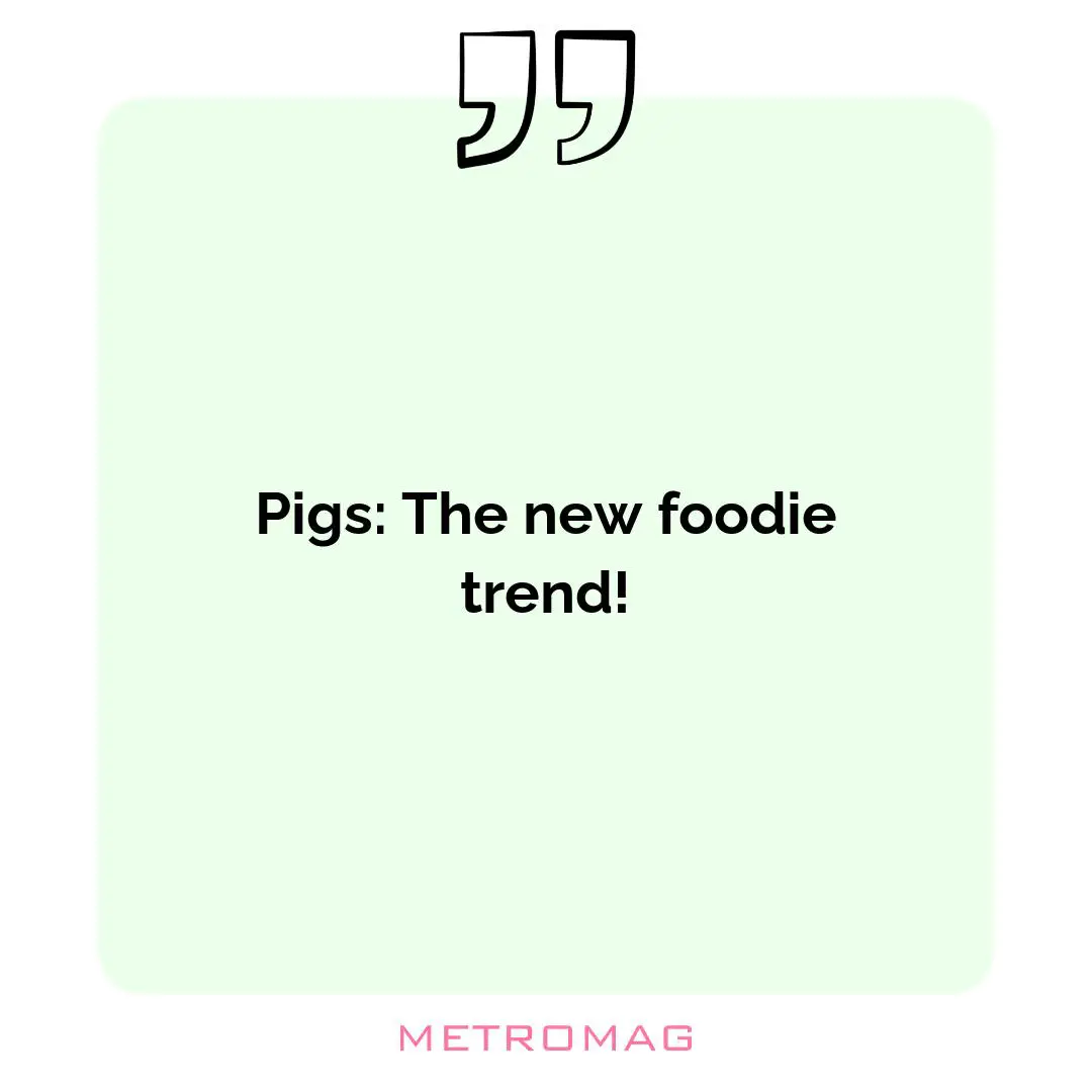Pigs: The new foodie trend!