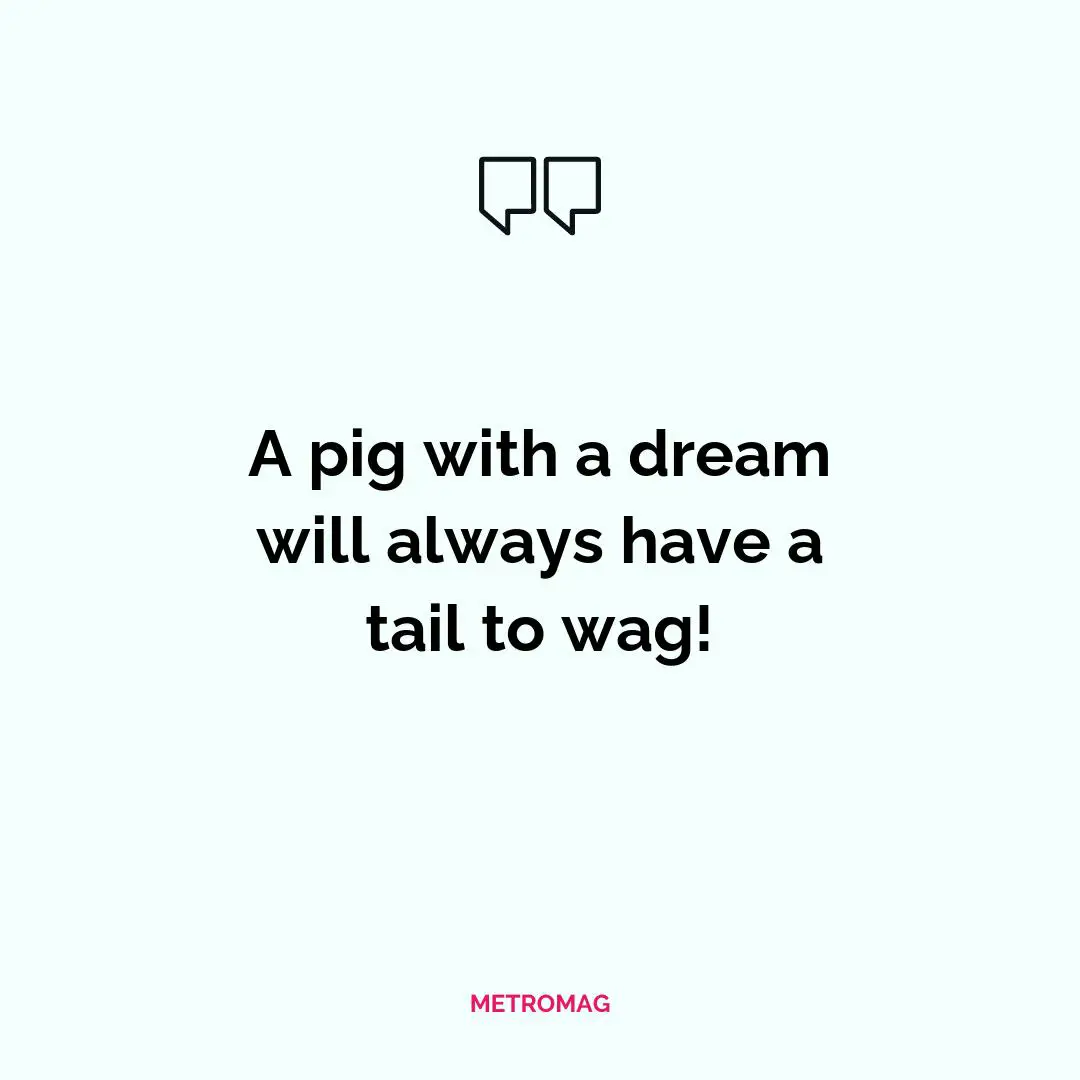 A pig with a dream will always have a tail to wag!