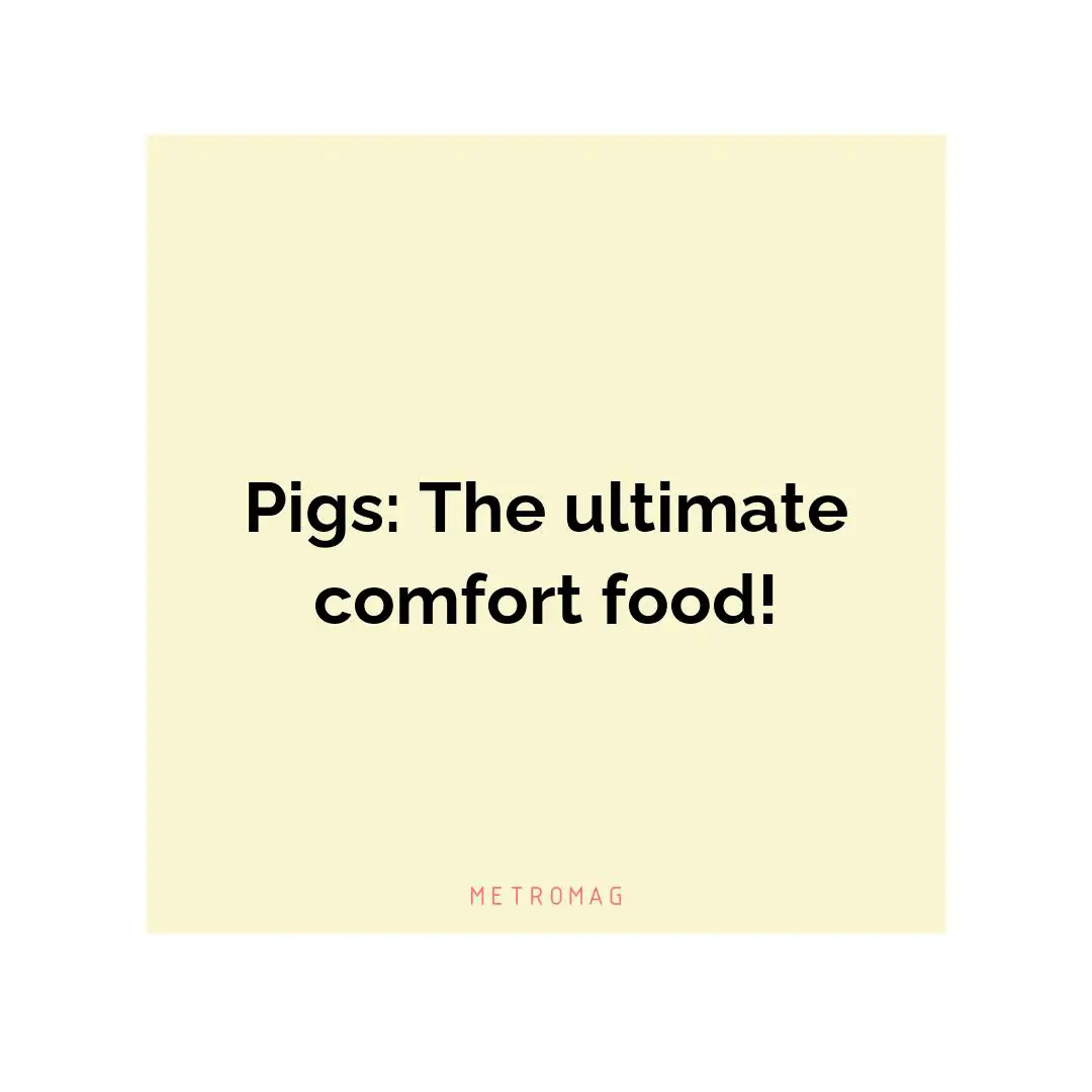 Pigs: The ultimate comfort food!
