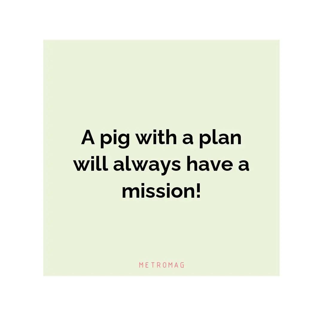 A pig with a plan will always have a mission!