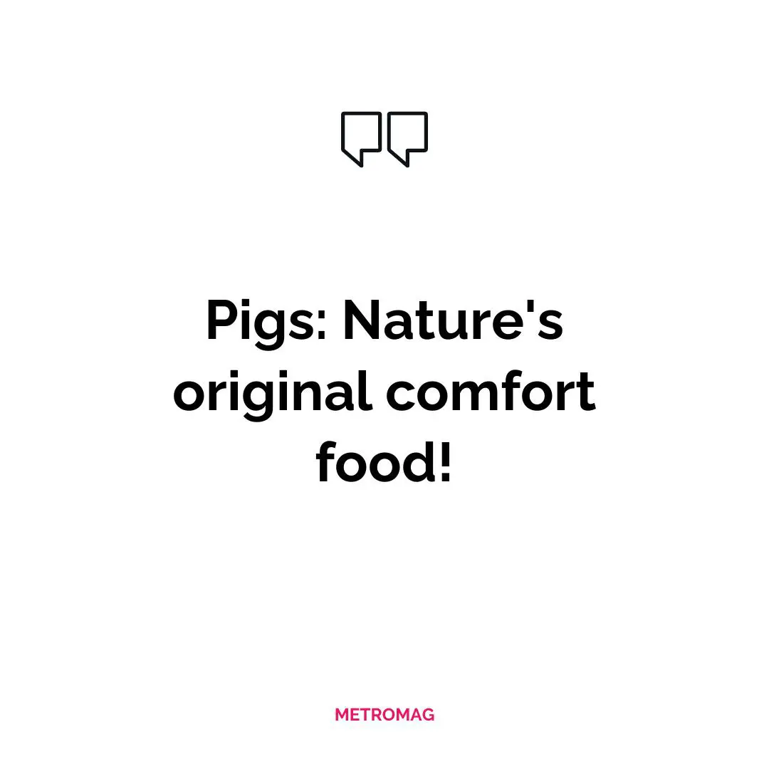 Pigs: Nature's original comfort food!