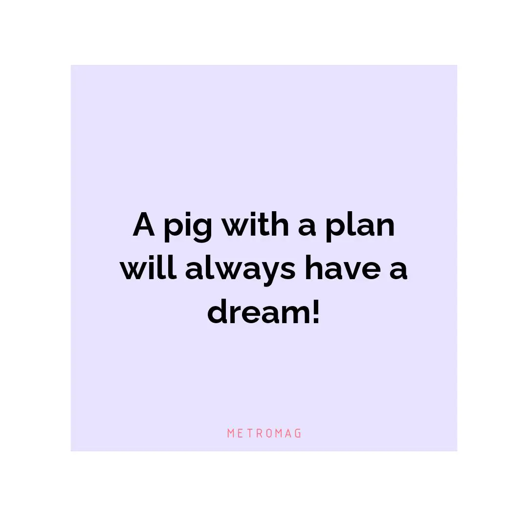 A pig with a plan will always have a dream!