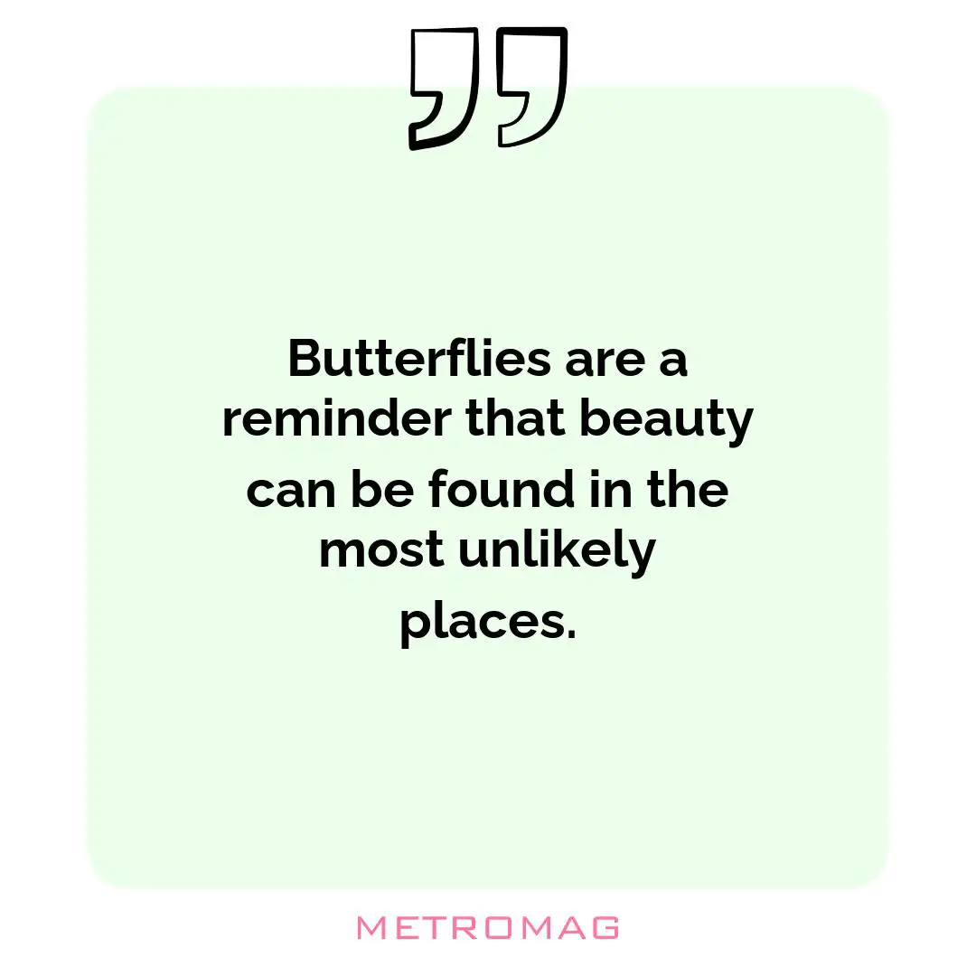 Butterflies are a reminder that beauty can be found in the most unlikely places.