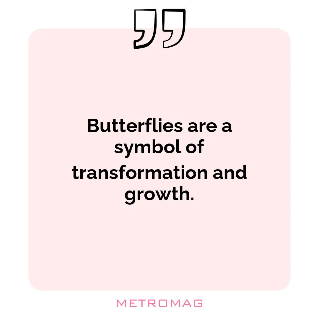 Butterflies are a symbol of transformation and growth.