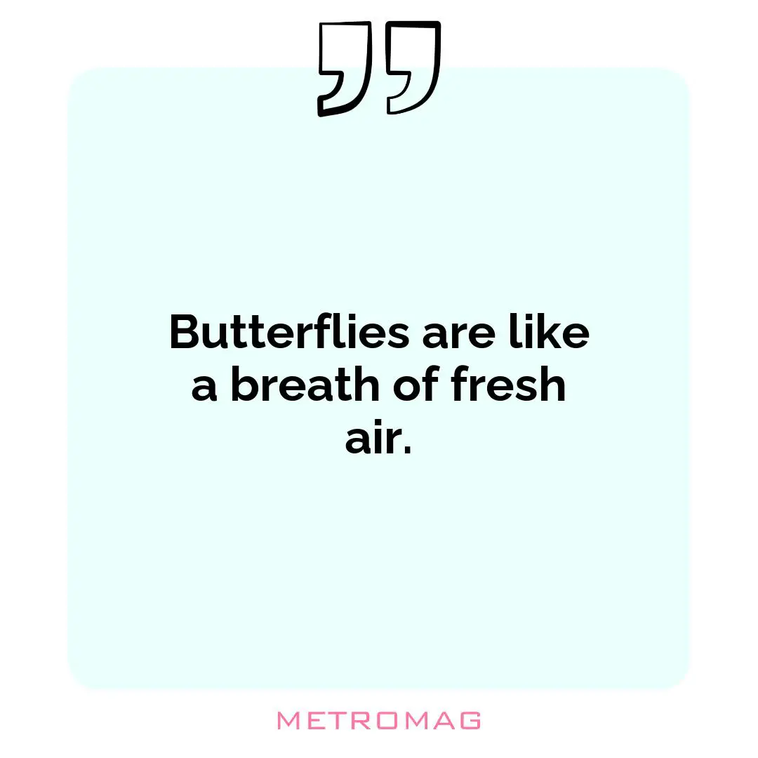 Butterflies are like a breath of fresh air.
