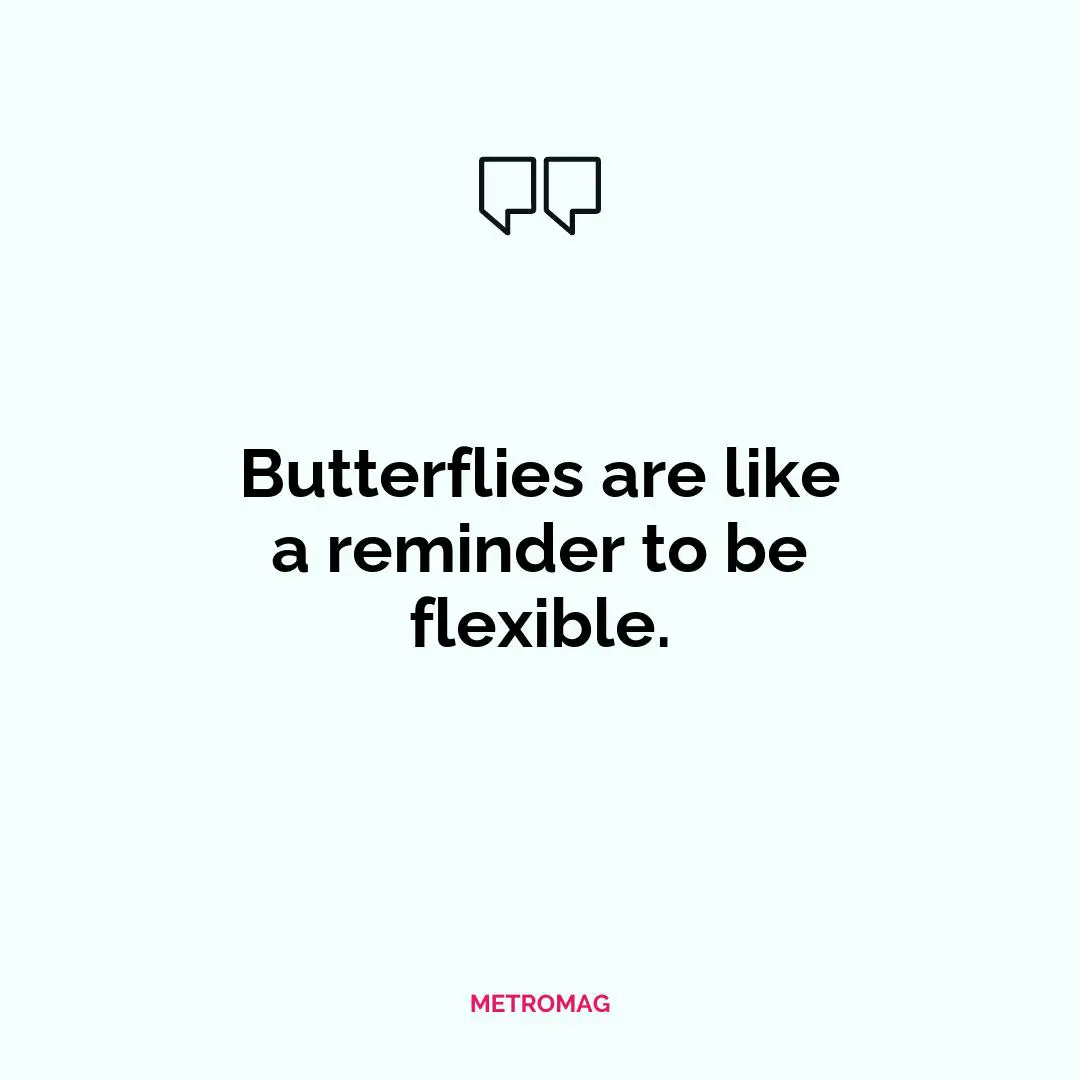 Butterflies are like a reminder to be flexible.